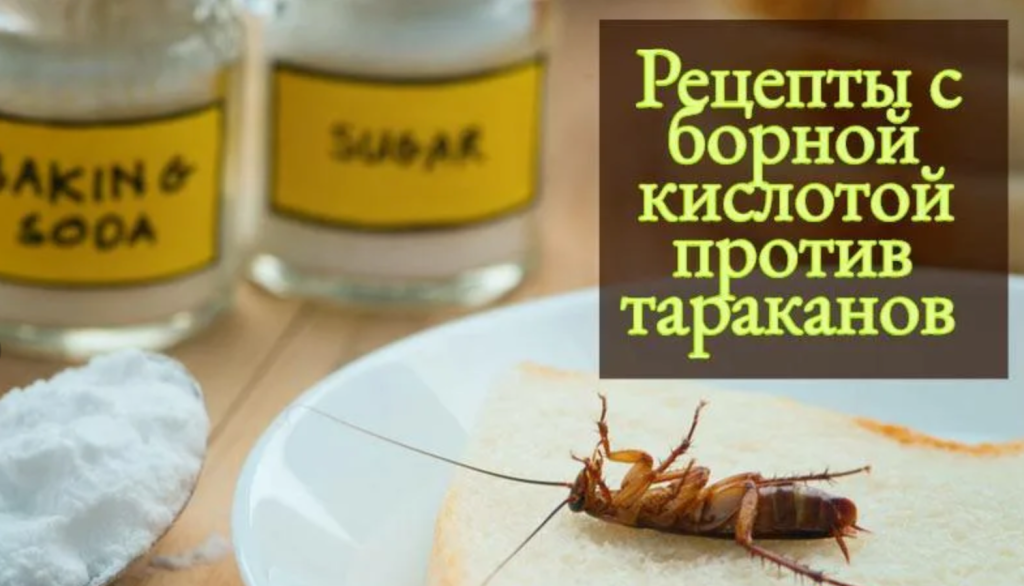 рецепт борной кислоты против тараканов